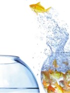 Do something difficult.